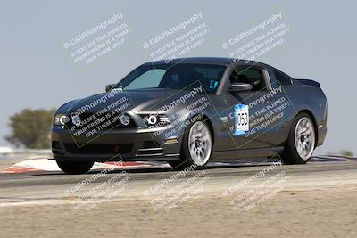 media/Jul-26-2025-Speed Ventures (Sat) [[fe569e6cf0]]/Yellow Group/Grapevine/